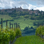 Primavera nelle Marche: tra Mare, Colline e Sapori cupramontana-capitale-del-verdicchio-828x323