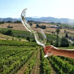 Le Marche del vino: un viaggio tra borghi e cantine Montecarotto01